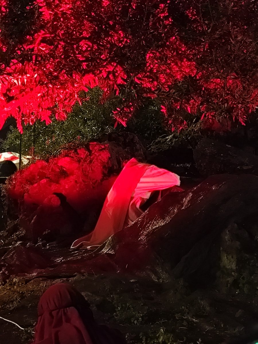 FOTO | Via Crucis vivente, un percorso di emozione, dolore e fede: la terza edizione a San Pietro Clarenza