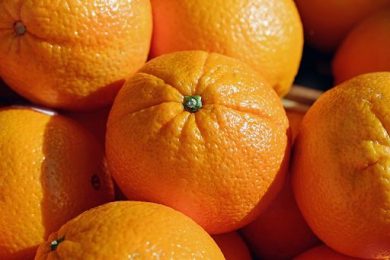 Delegazione Usda a Ferrara per formare ispettori fitosanitati Ue