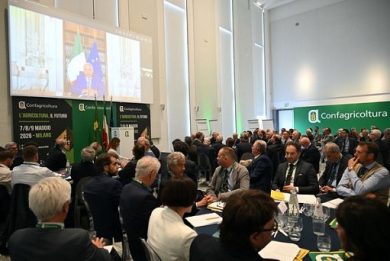 Piantedosi: contributo Confagricoltura fondamentale per settore
