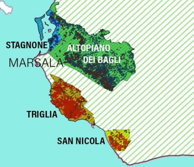 Via libera alle Uga: Consorzio Marsala Doc avvia iter istituzionale