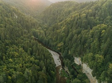 Foresta Nera, la Germania delle montagne, dei boschi e delle gole