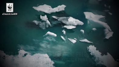 Crisi climatica e transizione energetica, wwf scrive alle regioni