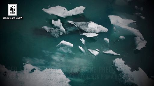 Crisi climatica e transizione energetica, wwf scrive alle regioni