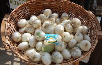 Stimata in calo produzione cipolla bianca di Margherita Igp