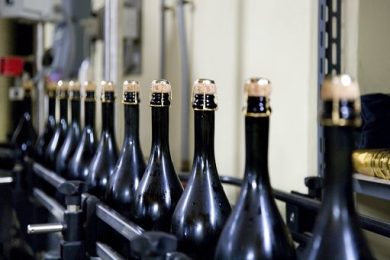 Vino, Oiv: nel 2025 nel mondo calati consumi, scambi e superficie vitata