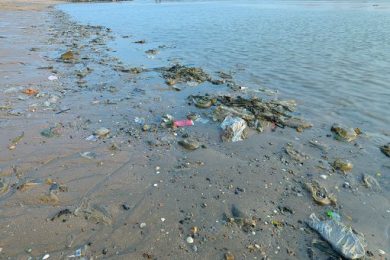 Marevivo: infarti, ictus e obesità in aumento a causa microplastiche