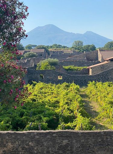 A Pompei il Festival dello sviluppo sostenibile20 e 21 maggio