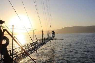 Pesce spada, al via la sperimentazione con trapline su 500 barche