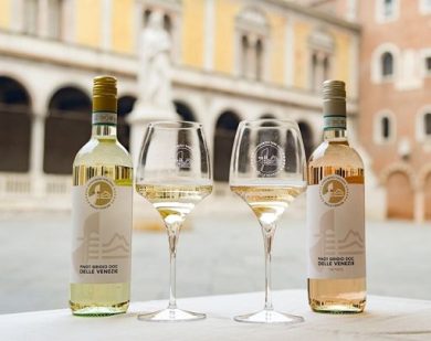 Pinot Grigio Doc Delle Venezie: ridotte le rese per vendemmia 2026