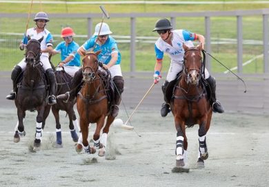Piazza di Siena, al via primo Fip Arena Polo European Championship