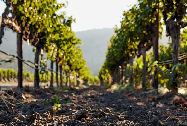 Sicilia, la stagione irrigua riparte con riserve raddoppiate