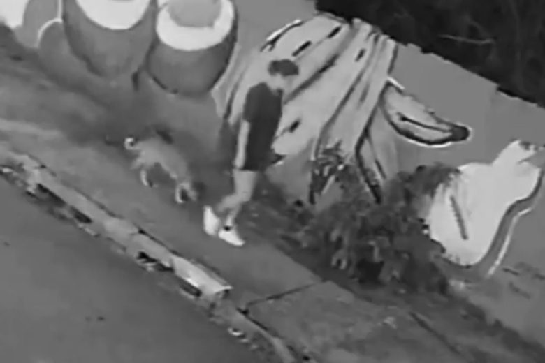VIDEO – Brasile, porta a spasso il cane ma viene “inghiottita” da un tombino