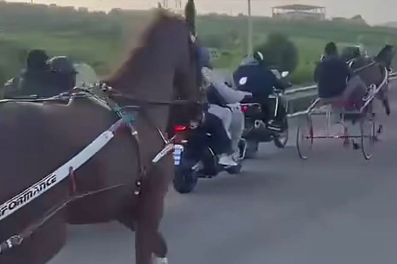 La “solita” corsa clandestina nel Catanese: cavalli, colpi di kalashnikov e scene virali sul web