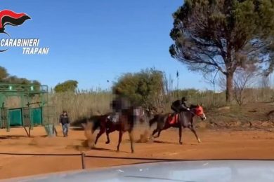 Maxi giro di corse clandestine di cavalli, era tutto organizzato su WhatsApp: sono 12 gli indagati
