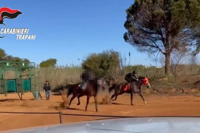 Maxi giro di corse clandestine di cavalli, era tutto organizzato su WhatsApp: sono 12 gli indagati