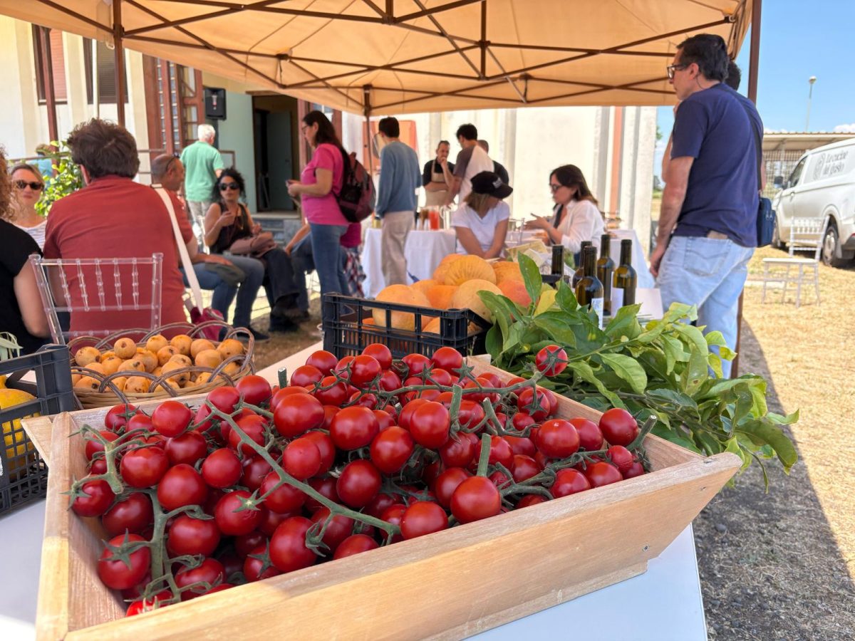 Unict, oltre 20 appuntamenti per il Festival dello Sviluppo Sostenibile 2026