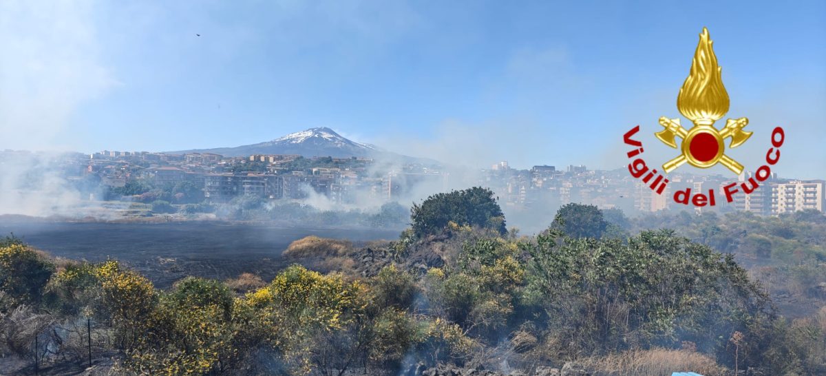 FOTO | Fiamme a Catania: vasto incendio nell’area degli Orti della Susanna