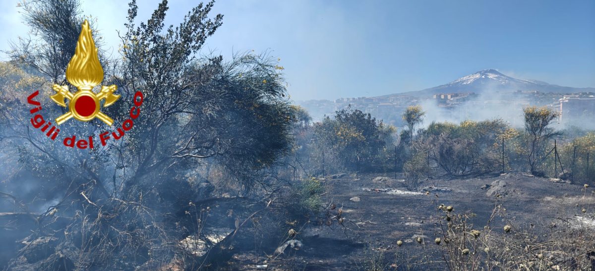 FOTO | Fiamme a Catania: vasto incendio nell’area degli Orti della Susanna