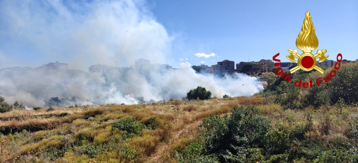 FOTO | Fiamme a Catania: vasto incendio nell’area degli Orti della Susanna