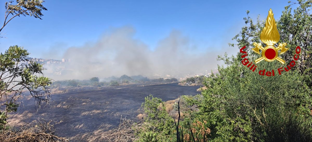 FOTO | Fiamme a Catania: vasto incendio nell’area degli Orti della Susanna
