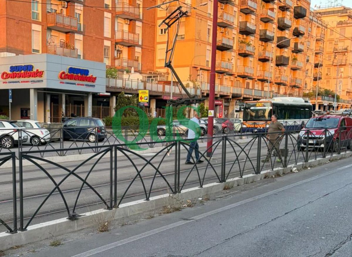Palermo, camion fa manovra e trancia cavi: linea del tram interrotte e gravi disagi per i cittadini