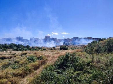 Catania, un “bosco urbano” a Cibali: è l’ora dell’unità