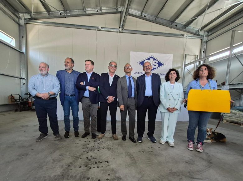 Palermo, al via i lavori per la linea C del tram: polemiche sul futuro degli alberi