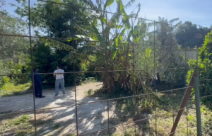 Omicidio a Palermo, ex infermiere ucciso da sedicenne con un tubo di metallo: da chiarire movente