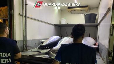 Siracusa, sequestrati mille chili di tonno senza tracciabilità