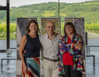 Vino, “Antinori Art Project”: Armin Linke nel percorso al Bargino