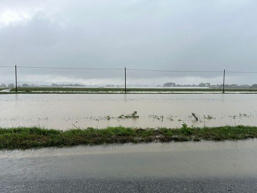 Maltempo: danni in provincia Rovigo, perdite in campo anche 100%