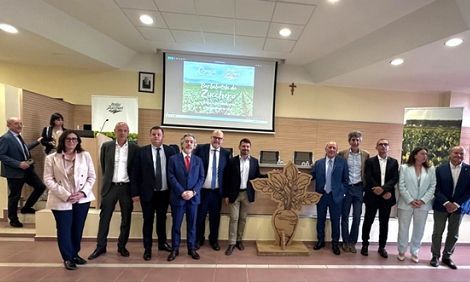 Filiera zucchero: da ricerca supporto a rese e resistenza a clima