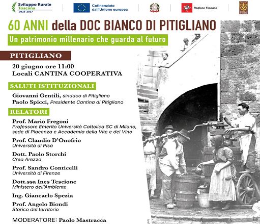 Vino, Bianco di Pitigliano: 60 anni della Doc tra storia e futuro