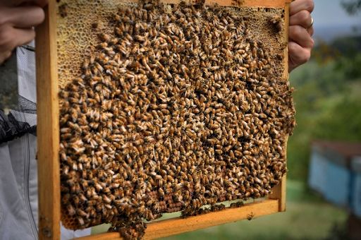 Bilancio sostenibilità Conapi: il 60% dei lavoratori sono donne