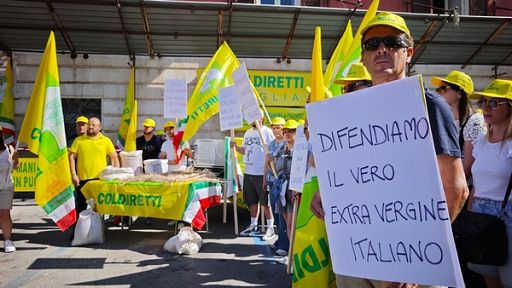 Coldiretti: prezzo olio -50% in un anno, i conti non tornano