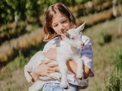 A Lana l’”Estate per bambini” tra fiumi, boschi, malghe e masi