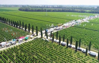 A “Enovitis in campo 2026” premi a robot e difesa sostenibile