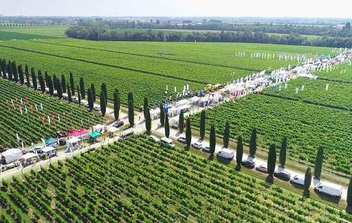 A “Enovitis in campo 2026” premi a robot e difesa sostenibile