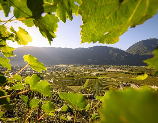 I musei della Valtellina raccontano natura, arte e memoria