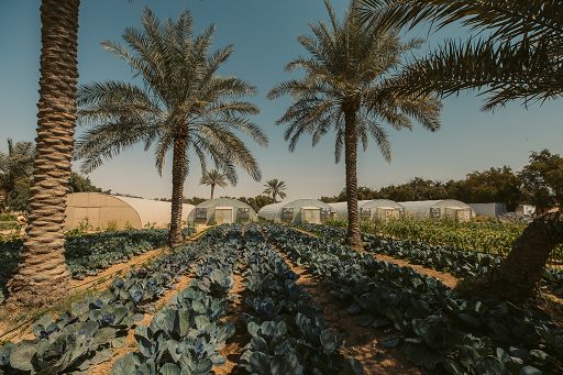 Qatar: impegno per filiere alimentari responsabili