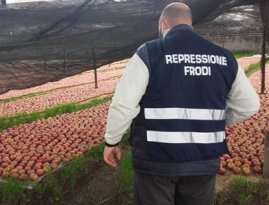 In 2025 da Icqrf 54.913 controlli su filiera agroalimentare