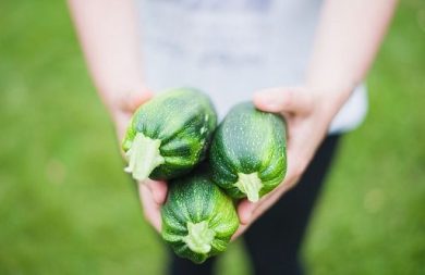 Il caldo fa scendere i prezzi delle zucchine, all’ingrosso -11%