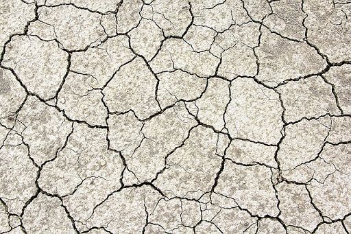 Coldiretti: siccità sul Po, livello a -8 metri su zero idrometrico