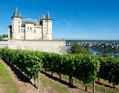 LGCF: in Italia vendite dei vini della Loira a +70% nel semestre
