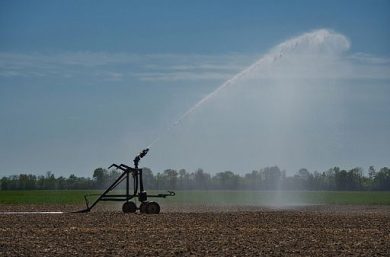 Cia: ondata di caldo del 2026 costa all’agricoltura 1,5 miliardi