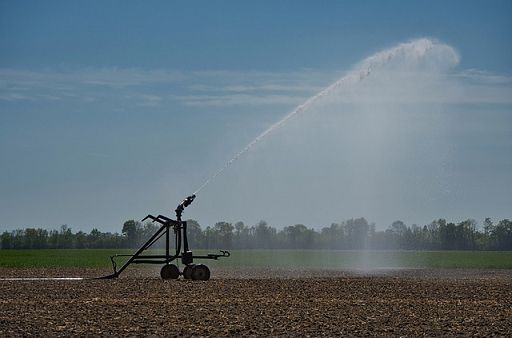 Cia: ondata di caldo del 2026 costa all’agricoltura 1,5 miliardi