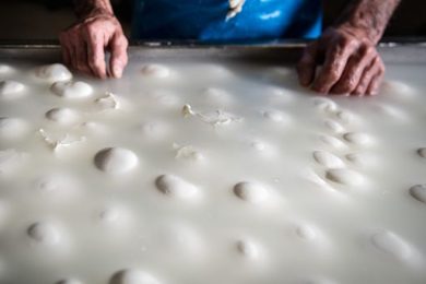 Consorzio Mozzarella bufala Dop porta a Ny tradizione filatura