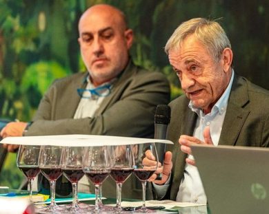 ”Barolo en primeur”: dalla 2025 emerge un Nebbiolo teso e preciso