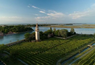 Vino, Venissa presenta tre cru di Dorona nella Laguna Nord di Venezia