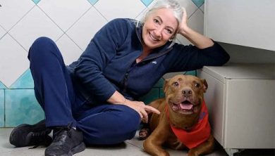 Addio Palla, la cagnetta sarda che ha conquistato il web